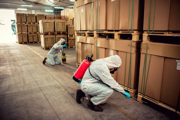 Best Bed Bug Extermination  in Bridge City, TX