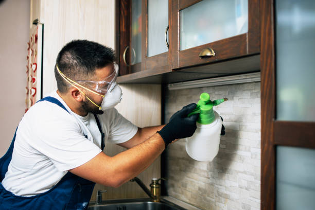 Best Pest Prevention Services  in Bridge City, TX