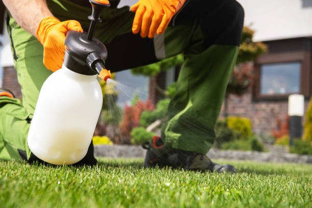 Best Best Pest Control Companies  in Bridge City, TX