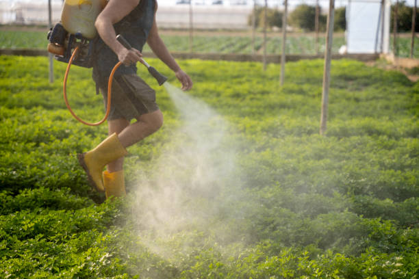 Best Residential Pest Control  in Bridge City, TX