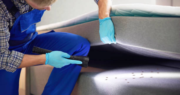 Best Rat Extermination Near Me  in Bridge City, TX