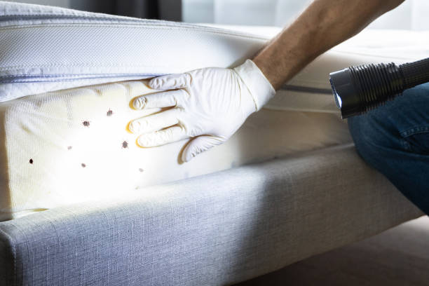 Best Wildlife Control Services  in Bridge City, TX