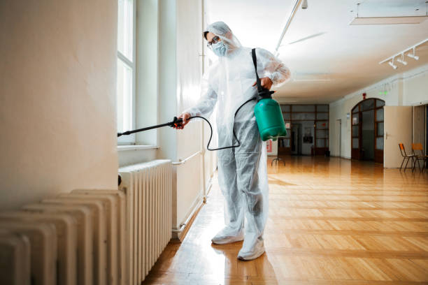 Best Bed Bug Extermination  in Bridge City, TX